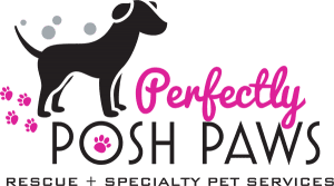 A black and pink logo for posh paws