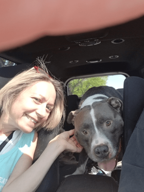 A woman and her dog in the back of a car.