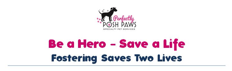 A hero-save event with perfectly posh paws