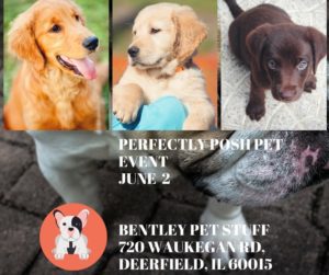 A collage of different dogs with text that reads " perfectly posh pet event june 2, bentley petstuff 7 2 0 waukegan rd deer
