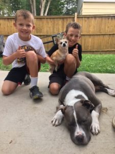 Two boys and a dog sitting on the ground