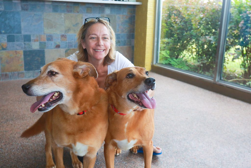 A woman with two brown dogs in front of a window.