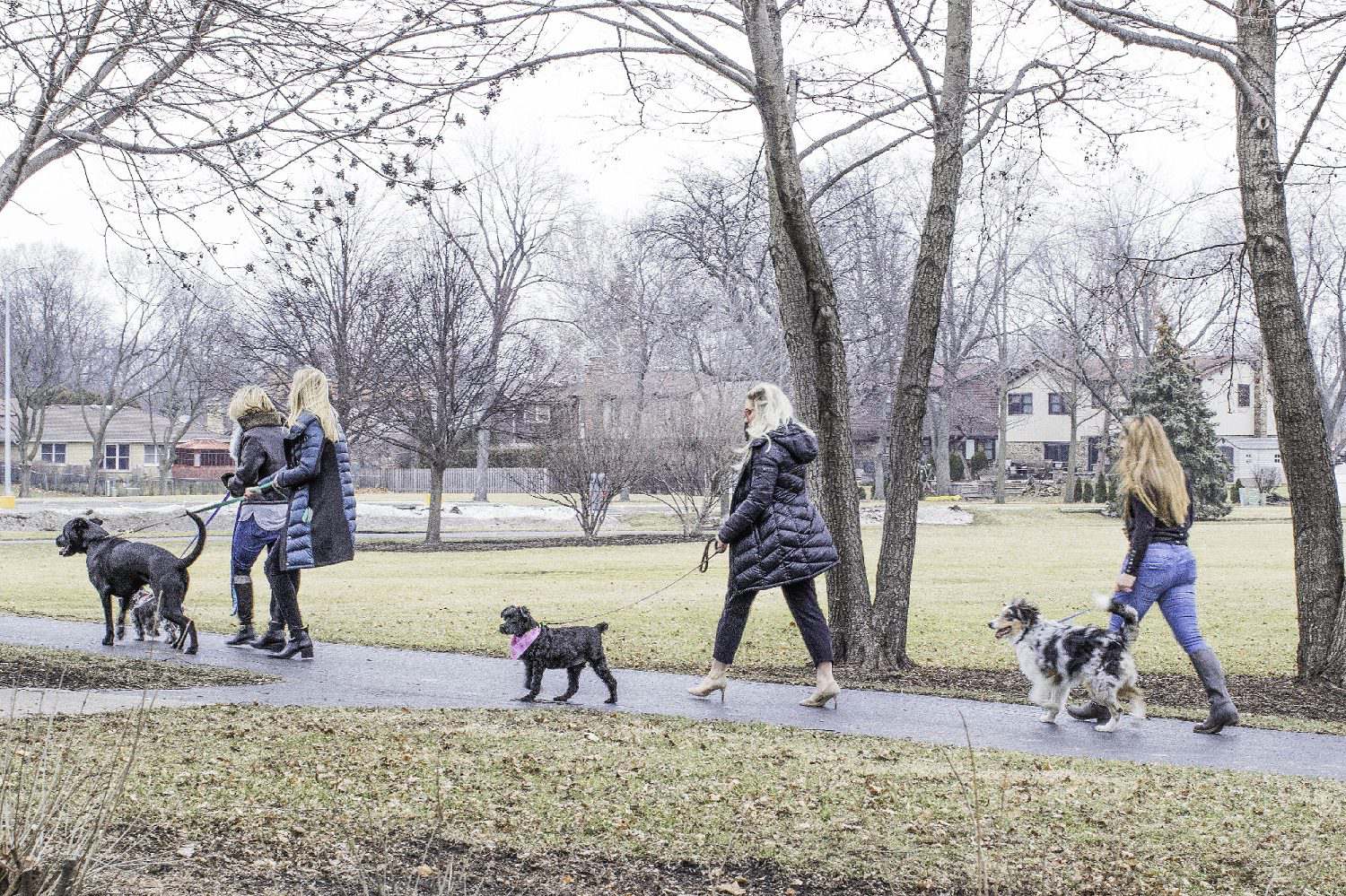 A group of people walking their dogs on the sidewalk.