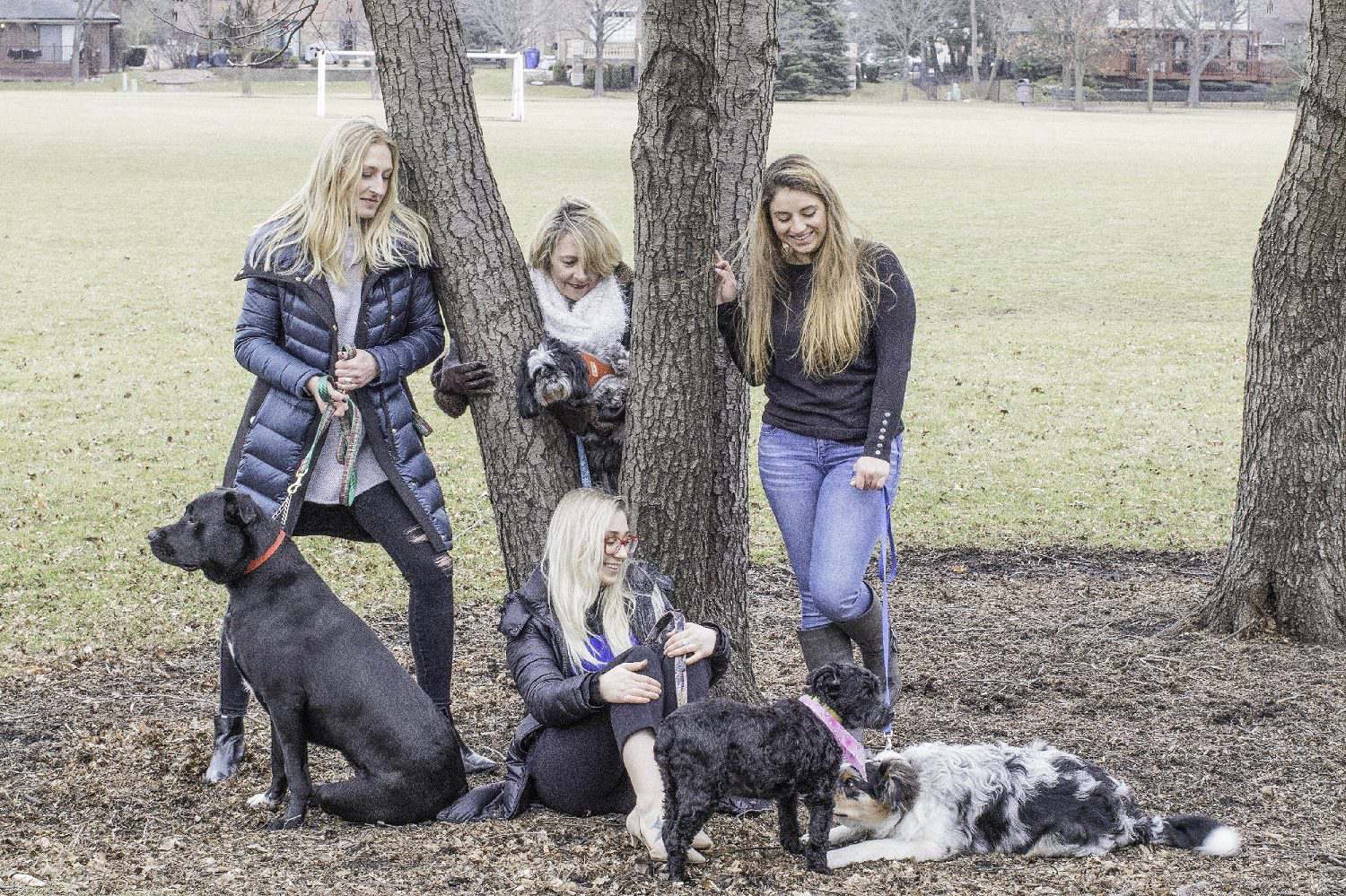 A group of women and dogs in the park.